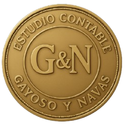 Logo Estudio Contable Gayoso y Navas